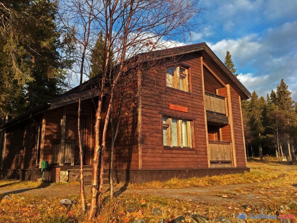 Фотография Cedar Grass Белое Море