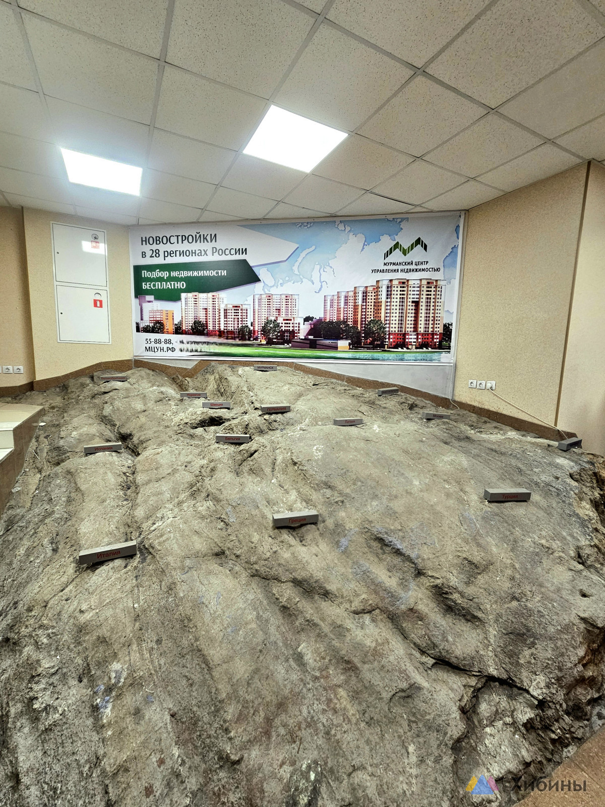 Фотография Мурманский центр управления недвижимостью