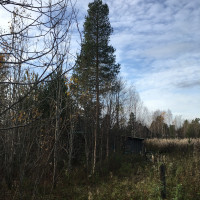Объявление Продам участок земли,