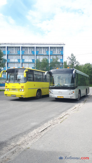 Объявление Автобусы