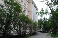 Знакомьтесь, художник!