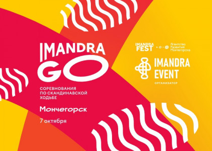 Imandra GO