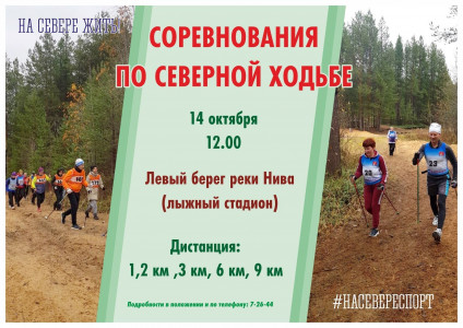 Соревнования по северной ходьбе‍