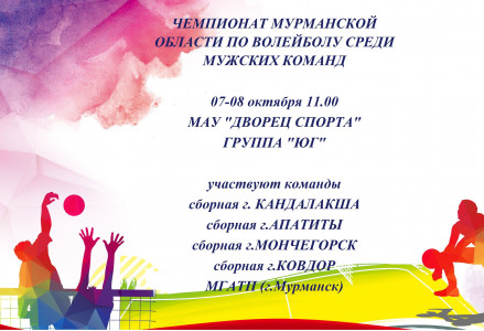 Чемпионат области по волейболу