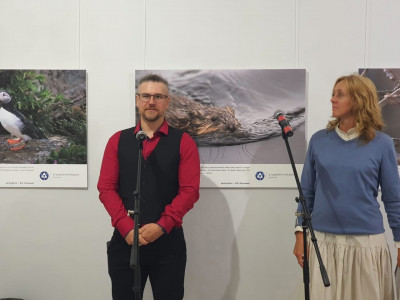 Выставка «Кандалакшский заповедник. Животные арктических островов» открылась в московском музее