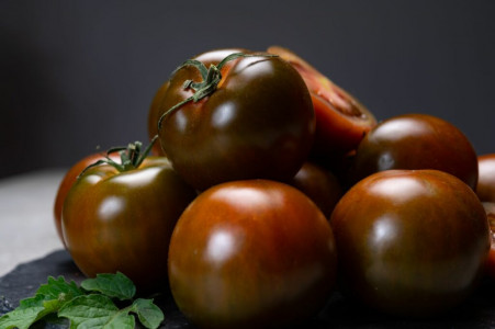 Чемпион по устойчивости к фитофторозу: этот сорт томатов обильно плодоносит и в Сибири — он не боится непогоды и холодов