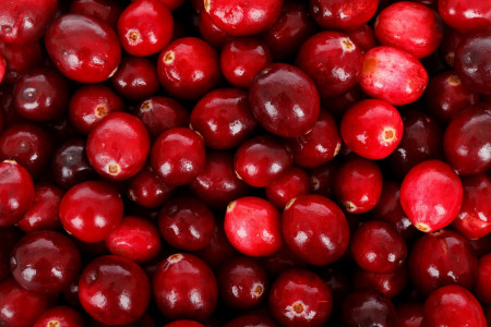 Снижает риск сердечно-сосудистых заболеваний, замедляет старение кожи: эта ягода способна спасти от всех бед — рекомендация врача